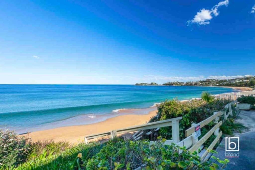Absolute Beachfront Surf Unit In Terrigal/Wambi Wamberal Kültér fotó